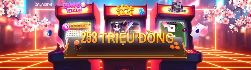 3537bet