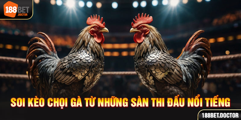 Netbet apostas