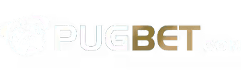 Wjcasino net - 911bet
